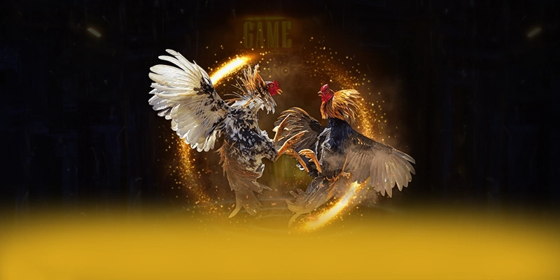 
Khám phá CONGA6789 - Cổng giải trí chất lượng được quan tâm
