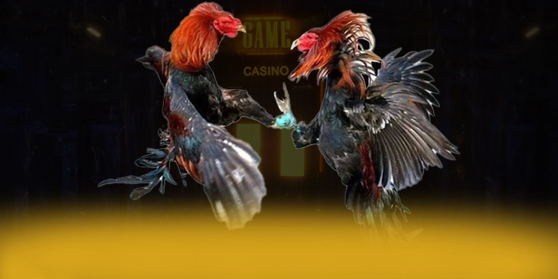 DAGA88 – Cổng giải trí được yêu thích nhất, được cộng đồng game thủ tin tưởng.