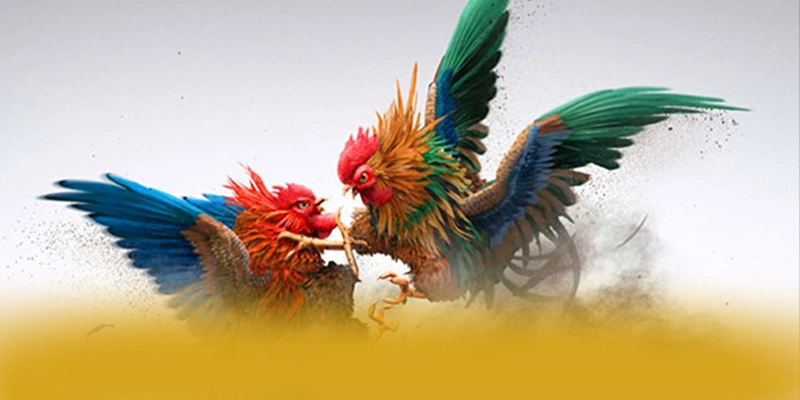 CONGA6789 - Cổng game hấp dẫn được yêu thích hàng đầu – Điểm qua CONGA6789