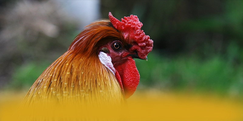 UU88 - Thương hiệu game trực tuyến cung cấp hàng trăm tựa game đẳng cấp hiện nay – Khám phá kho trò chơi của UU88