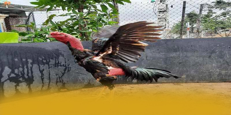 RR99 - Sảnh game với chính sách bảo mật hàng đầu trên thị trường – Khám phá ngay RR99