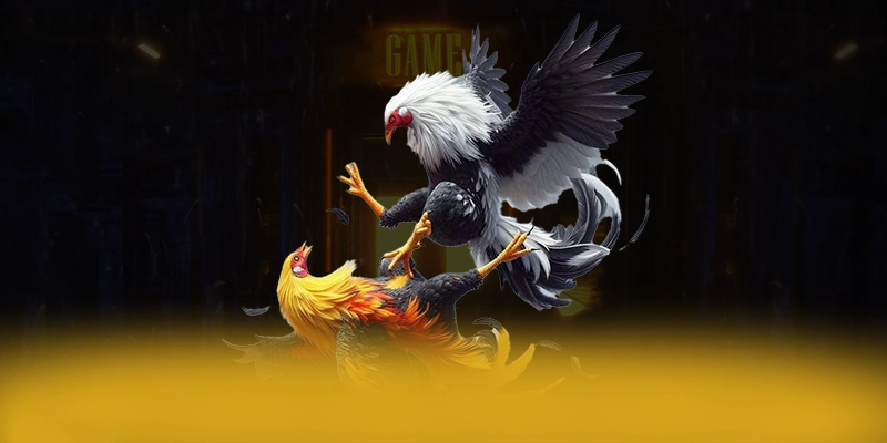 RR99 – Cổng trò chơi được đánh giá cao, khẳng định vị thế hàng đầu tại Việt Nam.