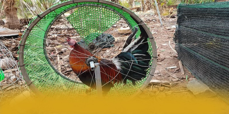 FC88 - Tổng kết dành cho người chơi.